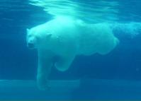 Ours